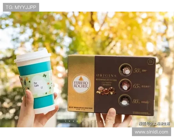 世界杯科特迪瓦厄瓜多尔队球迷周边商品收藏与购买实用指南